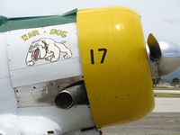 N1038A @ WVI - close-up nose of 1944 North American SNJ-5 as War Dog @ Watsonville Municipal Airport, CA - by Steve Nation