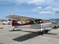 N2557C @ WVI - 1954 Cessna 170B @ fly-in Watsonville, CA - by Steve Nation