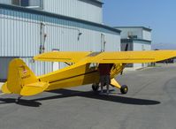 N98425 @ SZP - 1946 Piper J3-C-65 CUB, Continental C90 90 Hp upgrade, preflight - by Doug Robertson