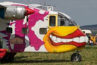 OE-FDK - Skydiver day near Hollabrunn.