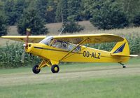 OO-ALZ - Piper PA-18 - by Volker Hilpert