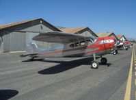 N195WG @ SZP - 1952 Cessna 195A BUSINESSLINER, Jacobs L4/R755A 300 Hp - by Doug Robertson