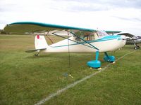 N140P @ KFBL - Cessna 140 - by Mark Pasqualino