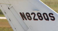 N828QS @ PDK - Tail Numbers - by Michael Martin