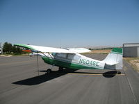 N5046E @ PRB - 1979 Bellanca 7GCAA @ Paso Robles Municipal, CA