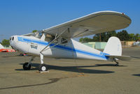 N13CN @ O52 - 1947 Cessna 140 as NC13CN minus prop @ Sutter County Airport (Yuba City), CA - by Steve Nation