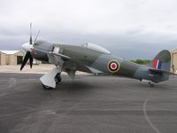 N39SF @ KDTO - Hawker Sea Fury owned by John Shackelford - by John Shackelford