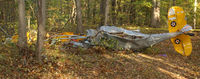 N91BK - 1992 BAKENG DUCE crashed Sunday Oct.22,2006 in the Elmo community  Halifax County Va.  Plane was discovered  Tue.Oct. 24,2006 with 1 Fatal.NTSB report not complete. - by Richard T Davis