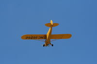 N35252 @ 7FL6 - Piper Cub
