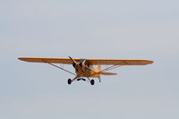 N35252 @ 7FL6 - Piper Cub - by Florida Metal