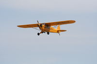 N35252 @ 7FL6 - Piper Cub