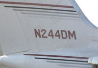 N244DM @ PDK - Tail Numbers - by Michael Martin
