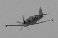 N260X @ KLSV - Privately Owned - San Jose, California (Aviation Nation 2006) / 1951 Hawker MK 11 SEA FURY