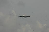 G-EUPY @ BRU - arrival of flight BA392 - do not worry for the birds - by Daniel Vanderauwera