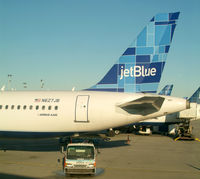 N627JB @ JFK - A Tail De-tail - by Stephen Amiaga
