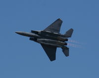 89-0483 @ TIX - F-15E - by Florida Metal