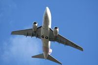 TS-IOM @ VIE - Boeing 737-6H3