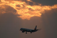 OE-LBF @ VIE - Austrian Airlines Airbus A321 - by Thomas Ramgraber-VAP