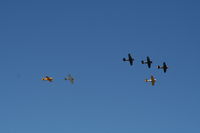N8203H @ TIX - T-6 Formation - by Florida Metal