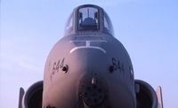 78-0644 @ DPA - A Warthog's face close-up in the early morning - by Glenn E. Chatfield