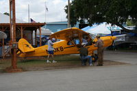 N50KB @ LAL - Piper PA-18