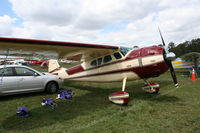 N2151C @ LAL - Cessna 195 - by Florida Metal