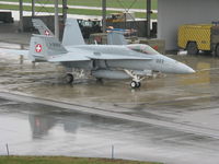 J-5003 @ LSMD - Swiss Air Force F/A18 at Dubendorf air base near Zurich - by Pete Hughes