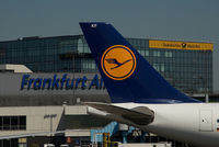 D-AIKF @ FRA - Lufthansa Airbus 330-300 - by Yakfreak - VAP