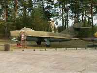 08 - Mikoyan-Gurevich MiG-17F/Finow-Brandenburg - by Ian Woodcock