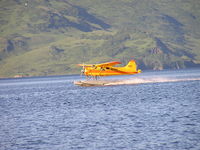 N1544 - Landing at Village Islands,Kodiak Alaska - by Blake D. Barrett