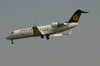 D-ACLY @ BRU - shortly before landing on rwy 02 - by Daniel Vanderauwera