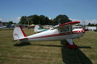 N25164 @ KOSH - Luscombe 8A - by Mark Pasqualino