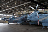 12433 @ CYYJ - Canadian Air Force Sikorsky CH-124A Sea King