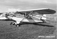 ZK-BTP @ NZNP - 95hp Cub trainer - by Peter Lewis