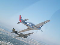N1195N - P-40N and a P-51 in formation - by t0ny