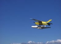 N221X photo, click to enlarge