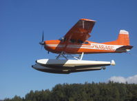 N4646C @ LHD - 1975 Cessna A185F SKYWAGON, Continental IO-520-D 300 Hp, restricted class, landing - by Doug Robertson