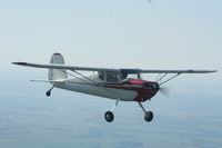 N2904N - Cessna 120