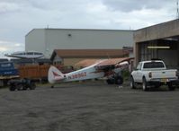 N3896Z @ Z41 - 1961 Piper PA-18-150 SUPER CUB, Lycoming O320, 4 psi tundra tires, Experimental class - by Doug Robertson