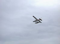 N3367R photo, click to enlarge
