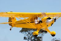 N77524 @ LPC - At West Coast Piper Cub Fly-in Lompoc 2007 - by Mike Madrid