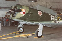 UNKNOWN @ YIP - T-6 in Polish air force colors - by Florida Metal