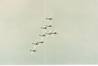 114019 @ CYXU - Snowbirds