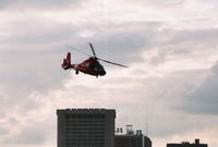 6522 - Dolphin over Detroit River