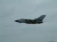 ZD895 photo, click to enlarge ZD895 photo, click to enlarge