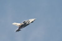 ZD707 photo, click to enlarge ZD707 photo, click to enlarge