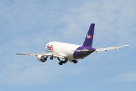 N420FE photo, click to enlarge N420FE photo, click to enlarge