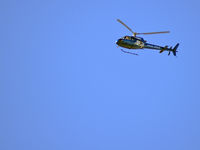 N350NT @ KLAS - Jan Leasing LLC - Las Vegas, Nevada / 1991 Aerospatiale AS350BA