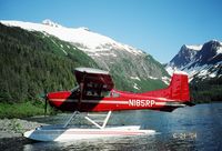 N185RP - Davis Lake, Alaska - by Richard Pulley