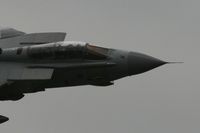 ZE116 photo, click to enlarge ZE116 photo, click to enlarge